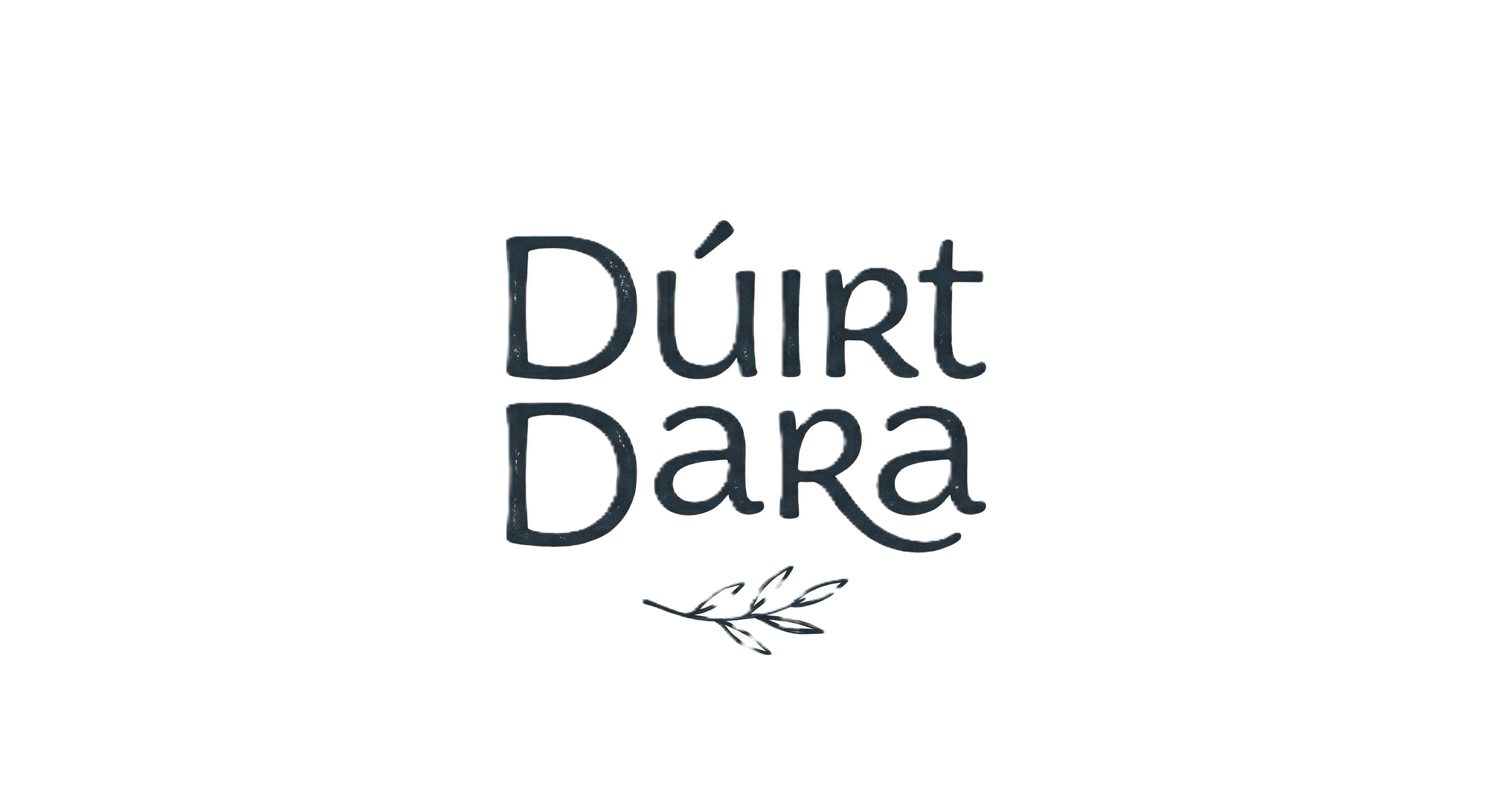 Dúirt Dara